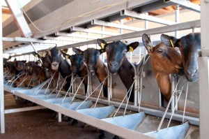 74621_10151440821387065_733790458_n